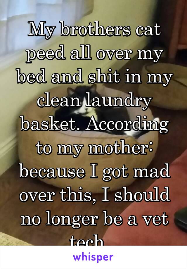 My brothers cat peed all over my bed and shit in my clean laundry basket. According to my mother: because I got mad over this, I should no longer be a vet tech...