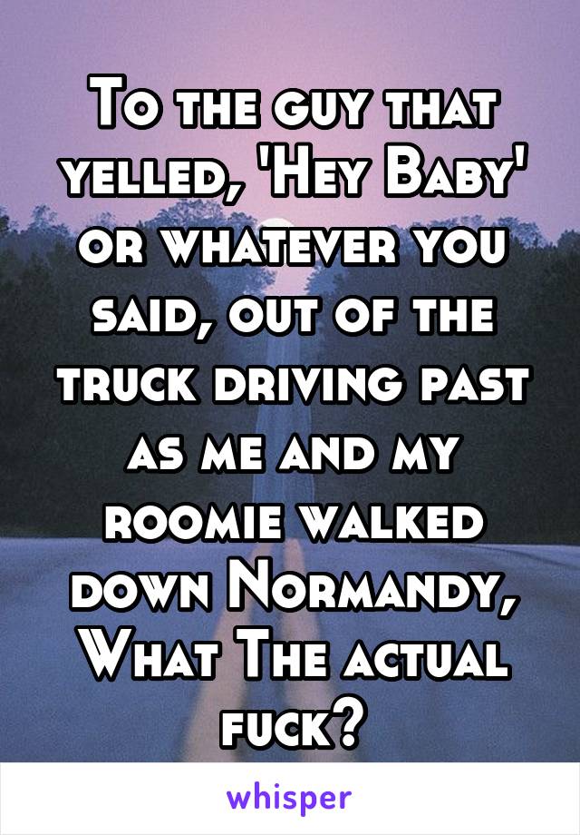 To the guy that yelled, 'Hey Baby' or whatever you said, out of the truck driving past as me and my roomie walked down Normandy, What The actual fuck?