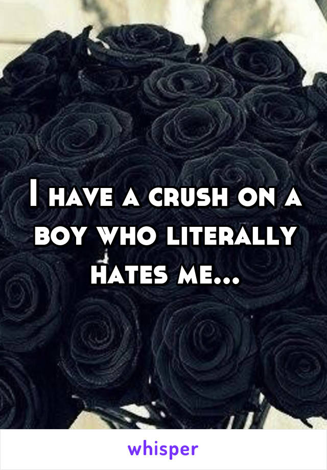 I have a crush on a boy who literally hates me...