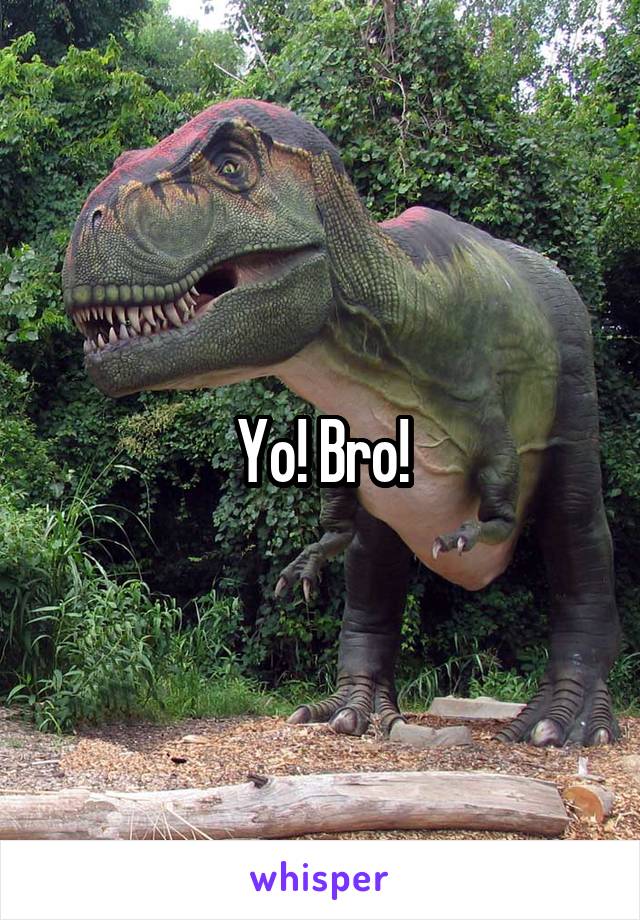 Yo! Bro!