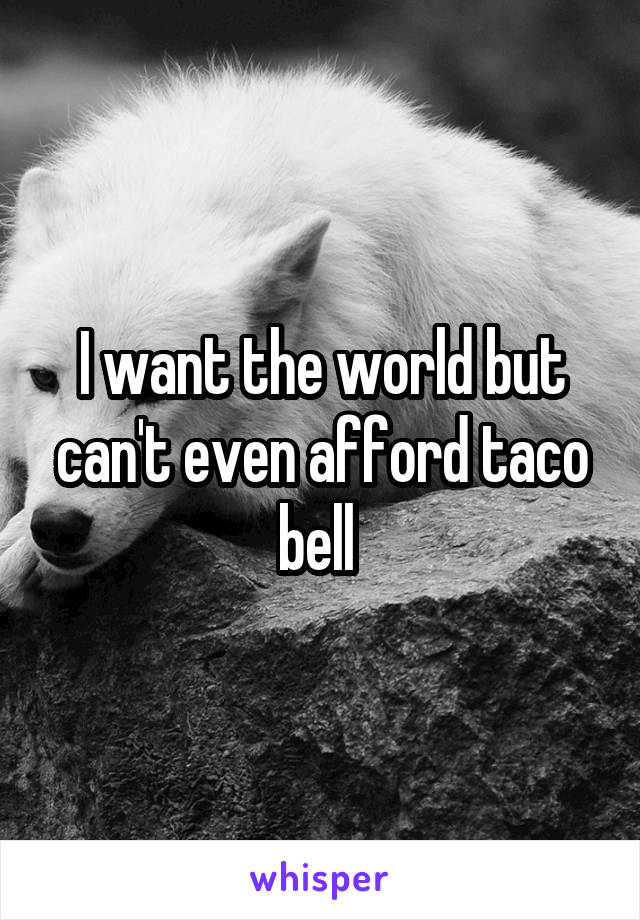 I want the world but can't even afford taco bell 