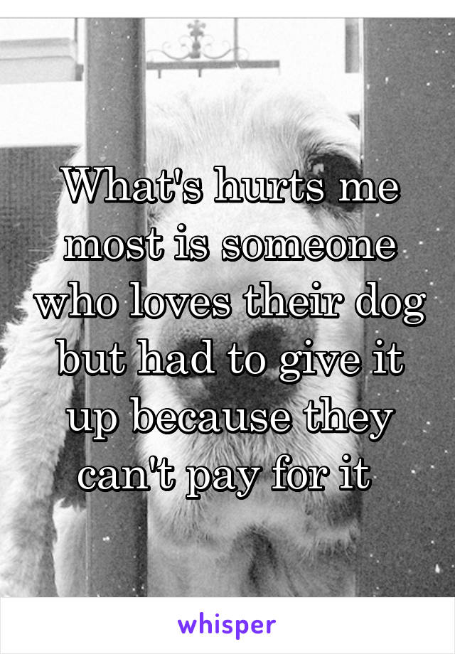 What's hurts me most is someone who loves their dog but had to give it up because they can't pay for it 