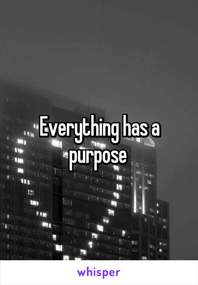 Everything has a purpose 