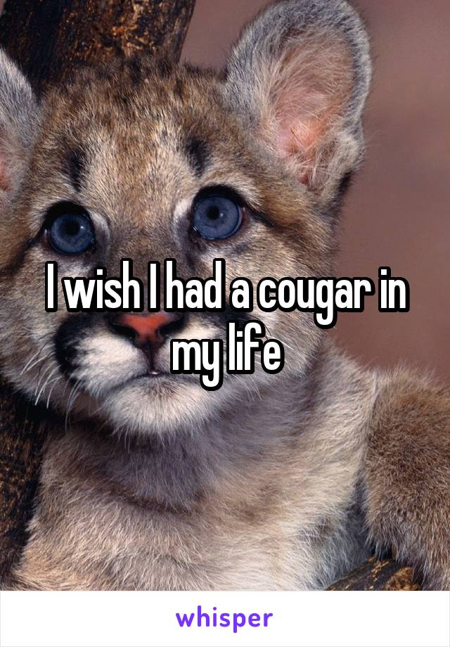 I wish I had a cougar in my life