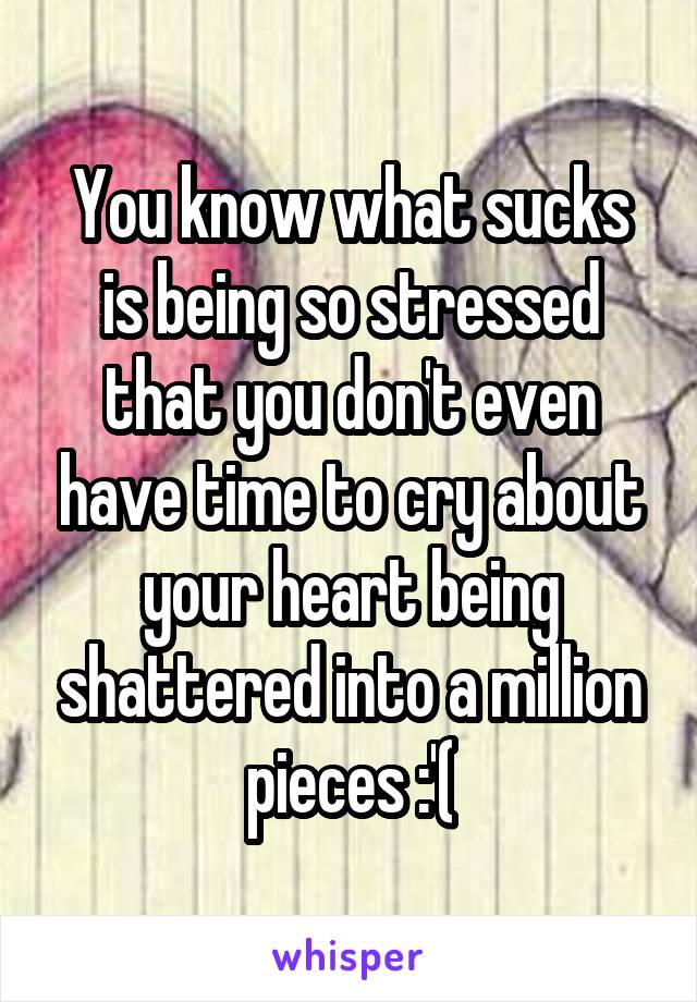 You know what sucks is being so stressed that you don't even have time to cry about your heart being shattered into a million pieces :'(