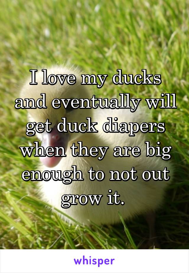 I love my ducks and eventually will get duck diapers when they are big enough to not out grow it. 