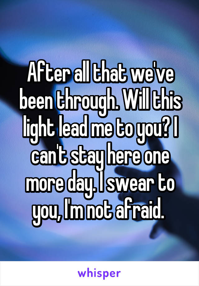 After all that we've been through. Will this light lead me to you? I can't stay here one more day. I swear to you, I'm not afraid. 