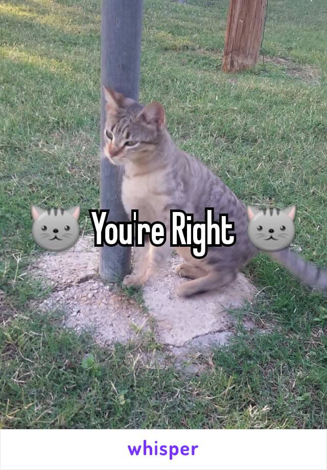 🐱 You're Right 🐱