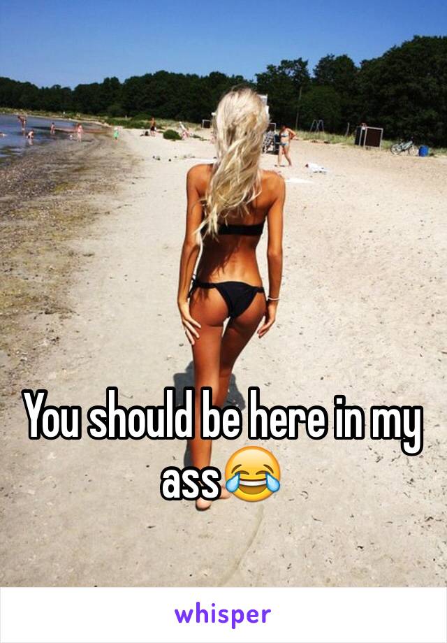 You should be here in my ass😂