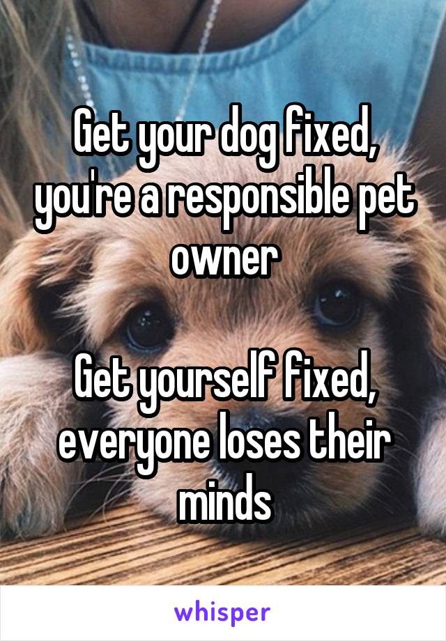 Get your dog fixed, you're a responsible pet owner

Get yourself fixed, everyone loses their minds