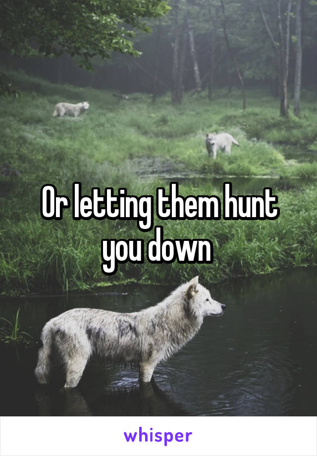 Or letting them hunt you down 