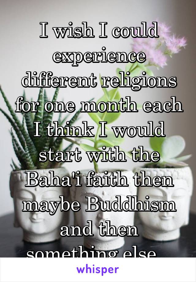 I wish I could experience different religions for one month each
I think I would start with the Baha'i faith then maybe Buddhism and then something else...