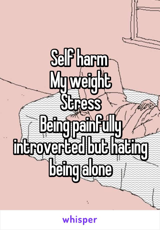 Self harm 
My weight
Stress
Being painfully introverted but hating being alone