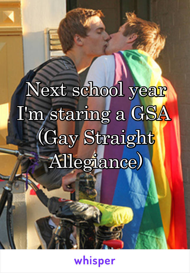 Next school year I'm staring a GSA 
(Gay Straight Allegiance)
