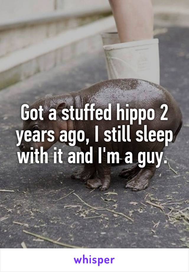 Got a stuffed hippo 2 years ago, I still sleep with it and I'm a guy. 