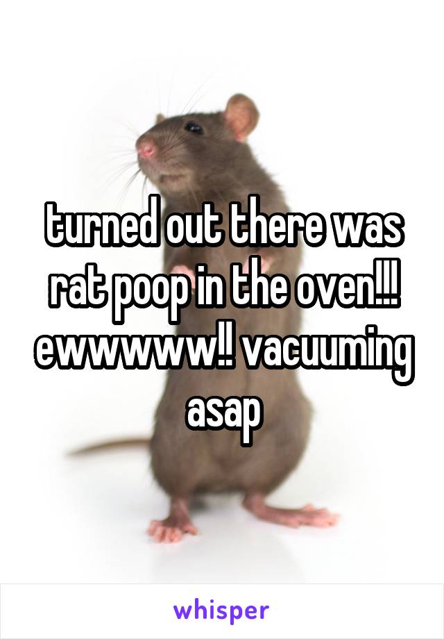 turned out there was rat poop in the oven!!! ewwwww!! vacuuming asap