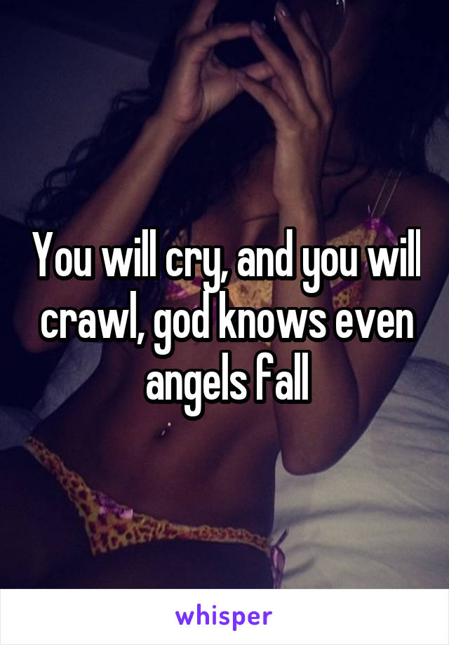 You will cry, and you will crawl, god knows even angels fall