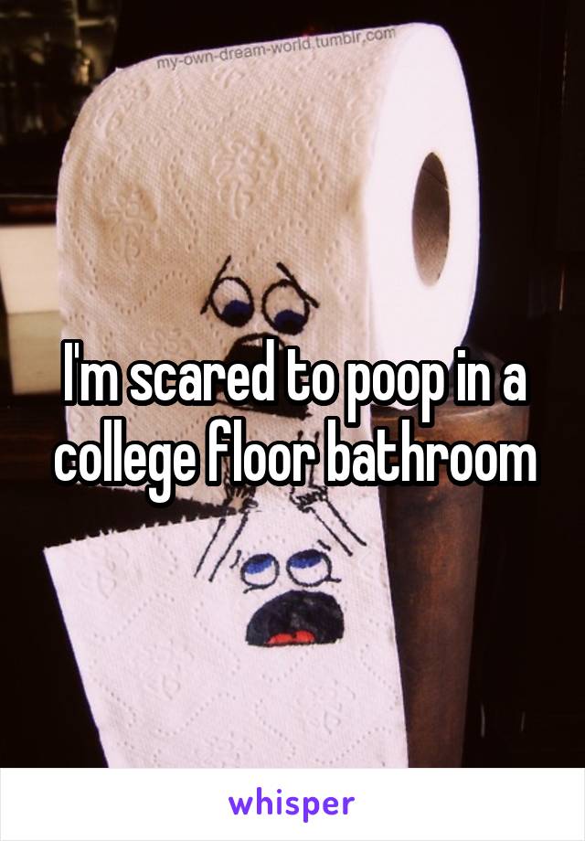 I'm scared to poop in a college floor bathroom