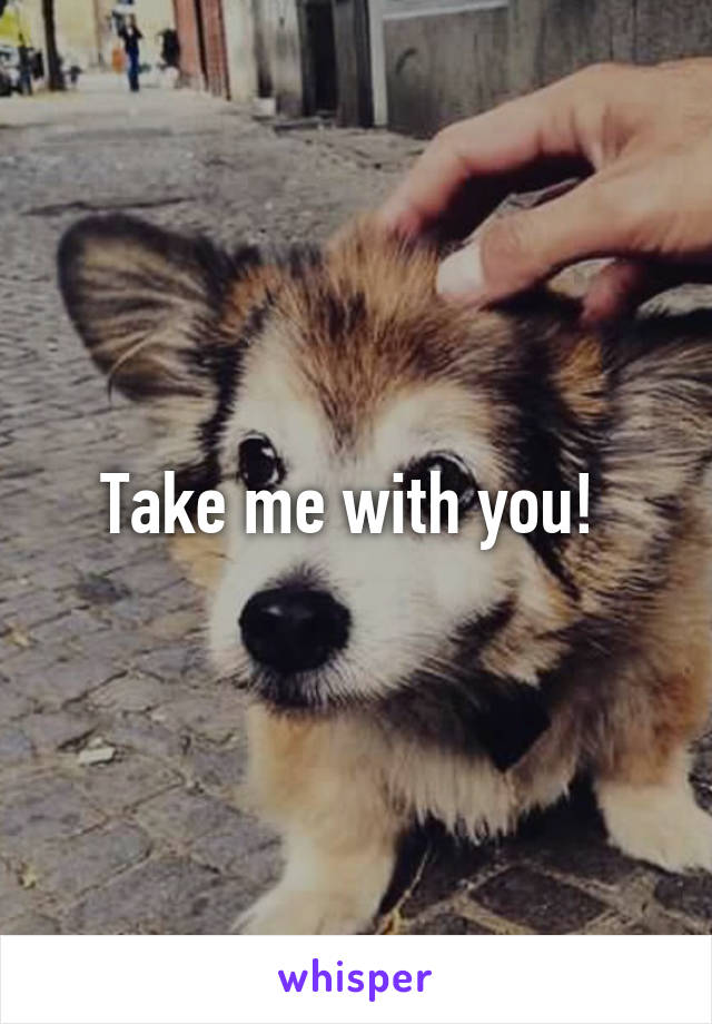 Take me with you! 