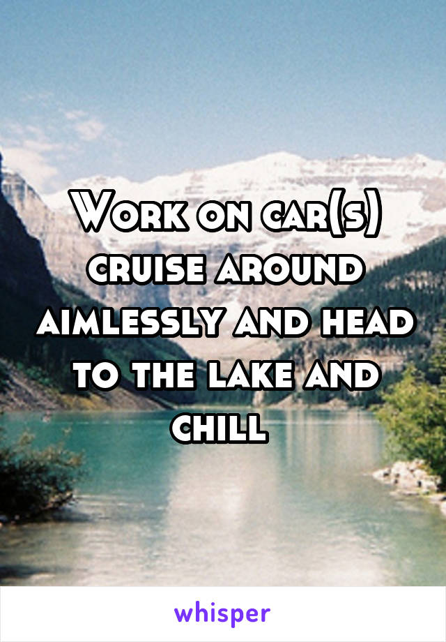 Work on car(s) cruise around aimlessly and head to the lake and chill 