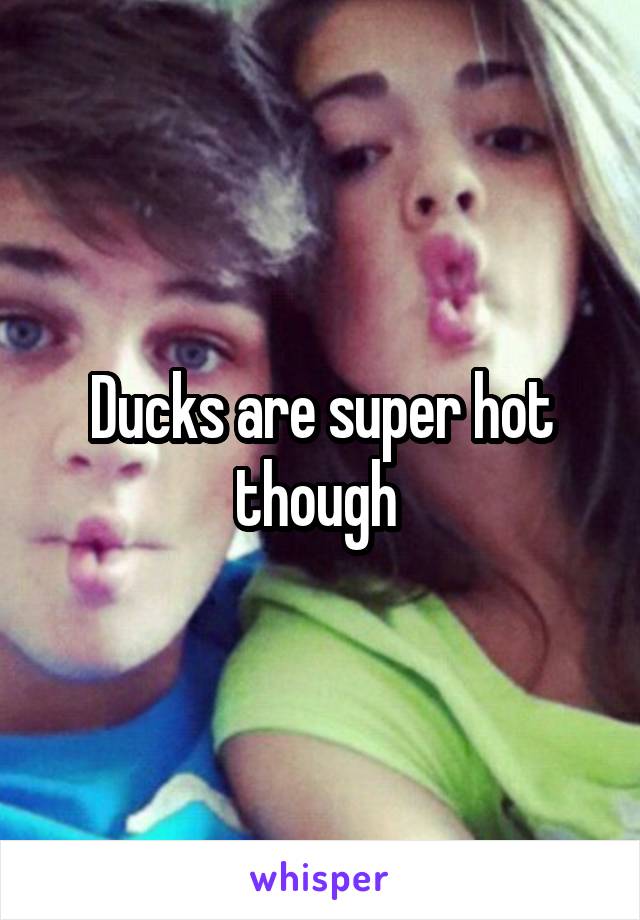Ducks are super hot though 