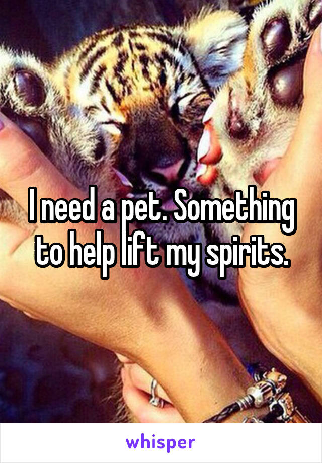 I need a pet. Something to help lift my spirits.
