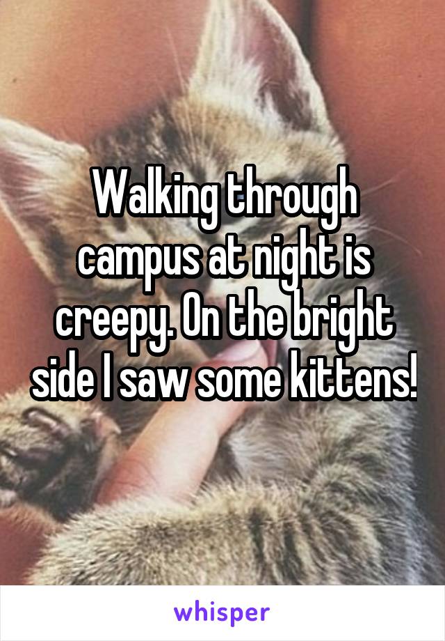 Walking through campus at night is creepy. On the bright side I saw some kittens! 