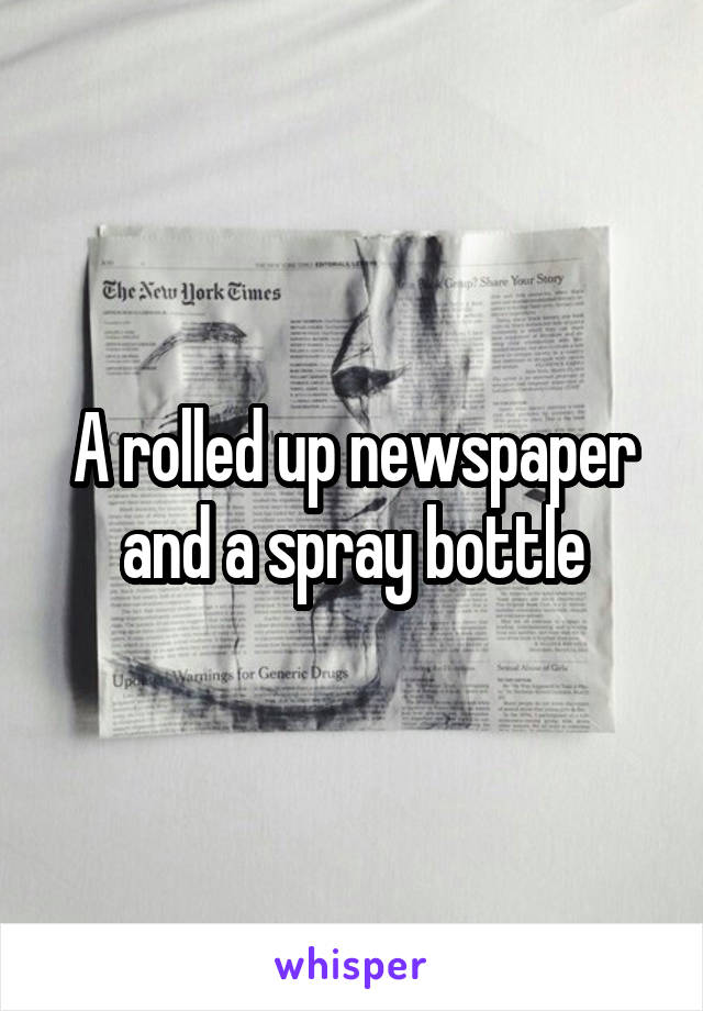 A rolled up newspaper and a spray bottle