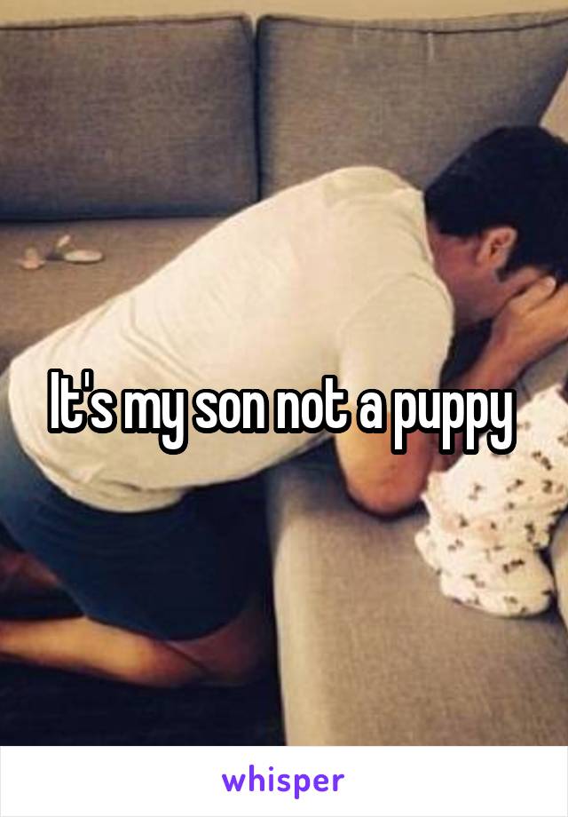 It's my son not a puppy 