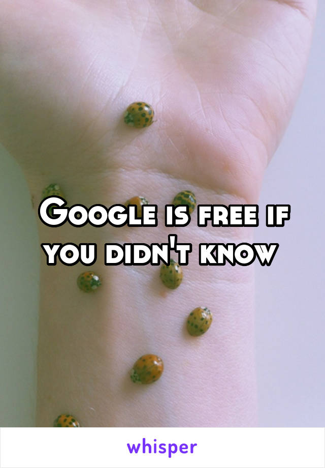 Google is free if you didn't know 