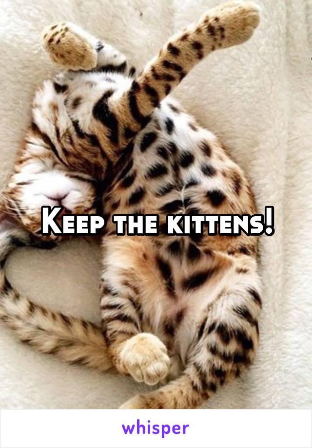 Keep the kittens!