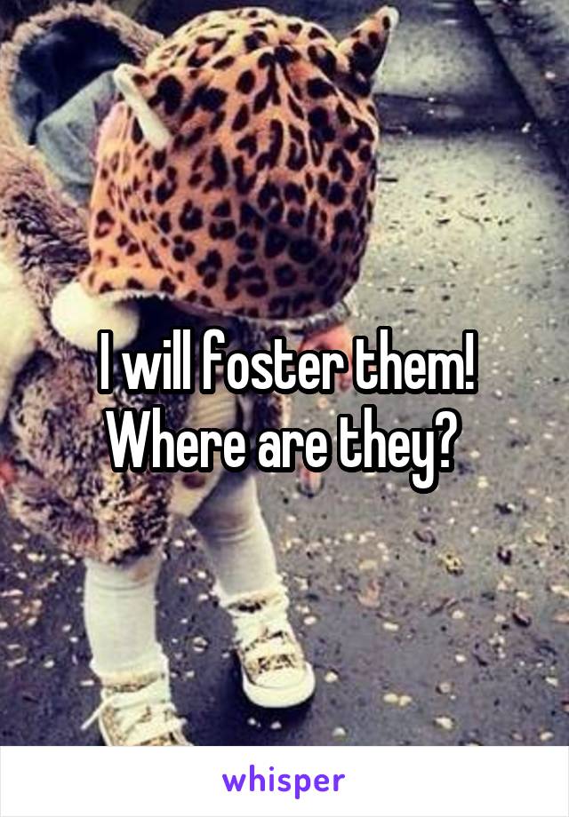 I will foster them! Where are they? 