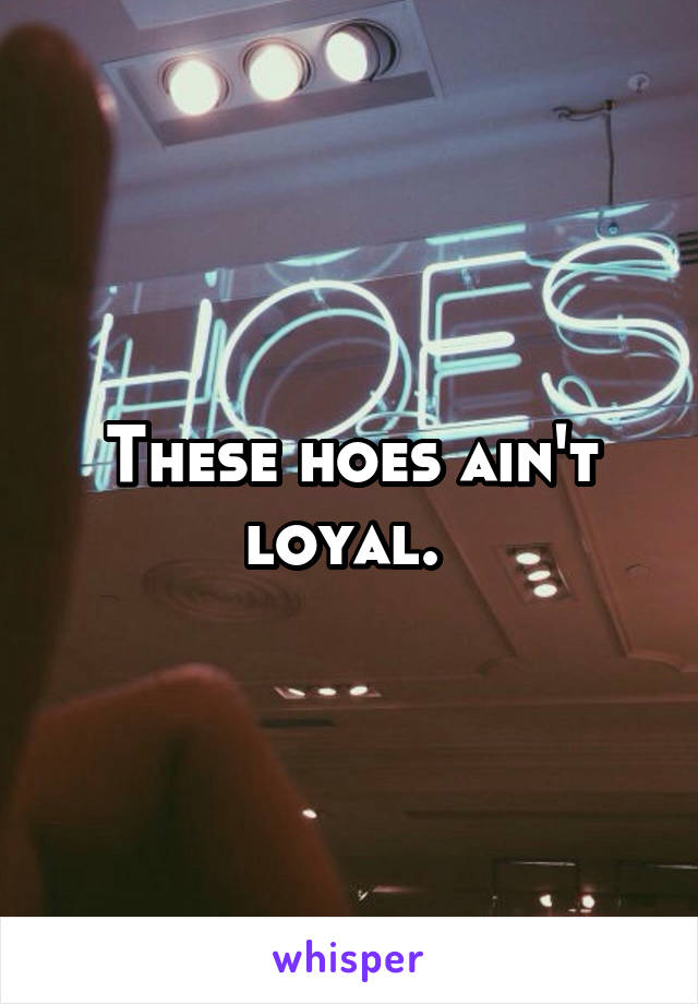 These hoes ain't loyal. 
