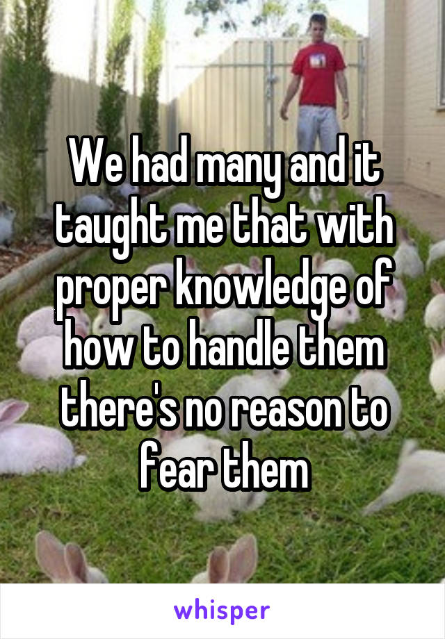 We had many and it taught me that with proper knowledge of how to handle them there's no reason to fear them