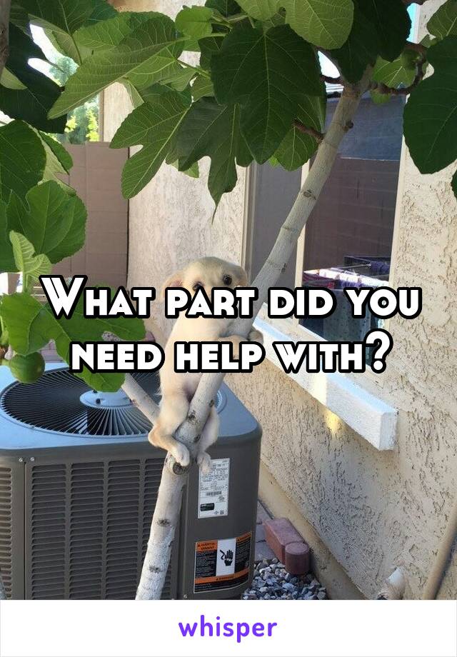 What part did you need help with?