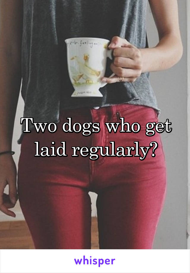 Two dogs who get laid regularly?