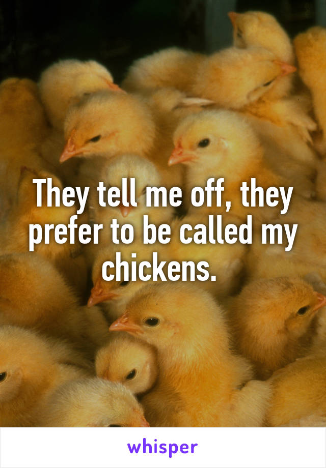 They tell me off, they prefer to be called my chickens. 