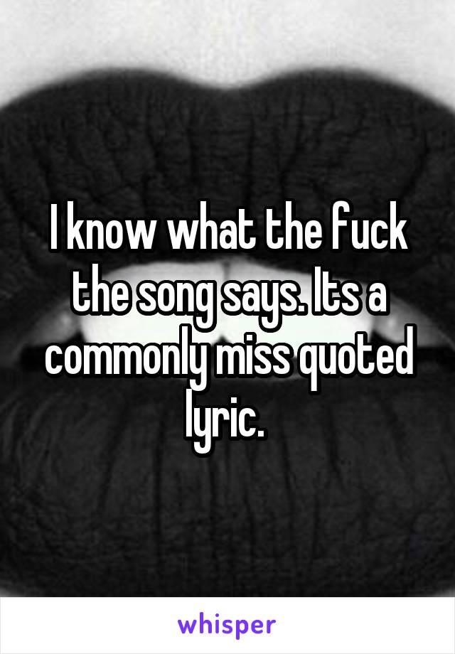 I know what the fuck the song says. Its a commonly miss quoted lyric. 