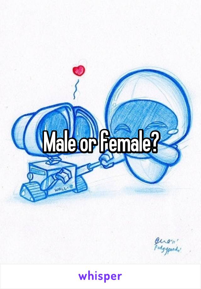 Male or female?