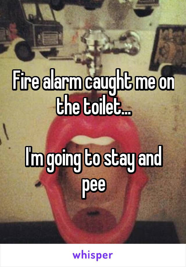 Fire alarm caught me on the toilet...

I'm going to stay and pee