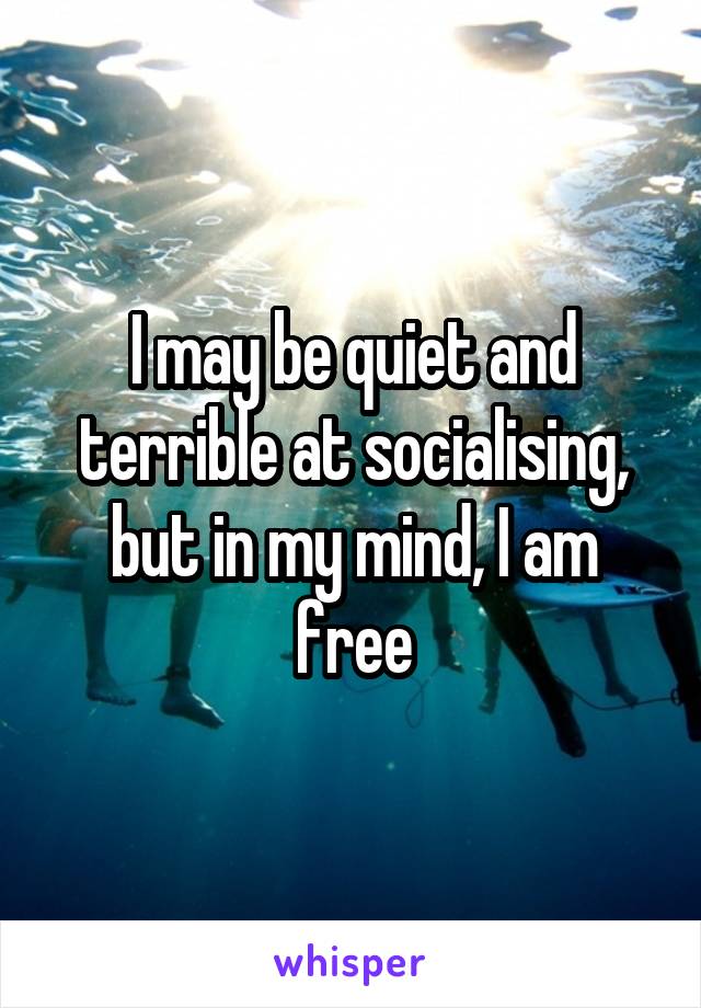 I may be quiet and terrible at socialising, but in my mind, I am free