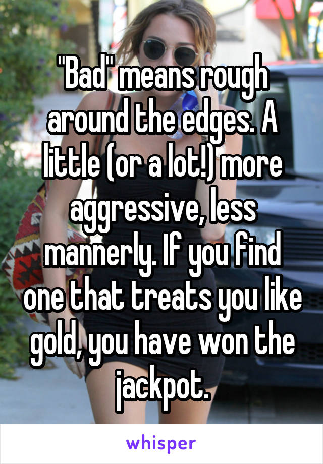 "Bad" means rough around the edges. A little (or a lot!) more aggressive, less mannerly. If you find one that treats you like gold, you have won the jackpot.