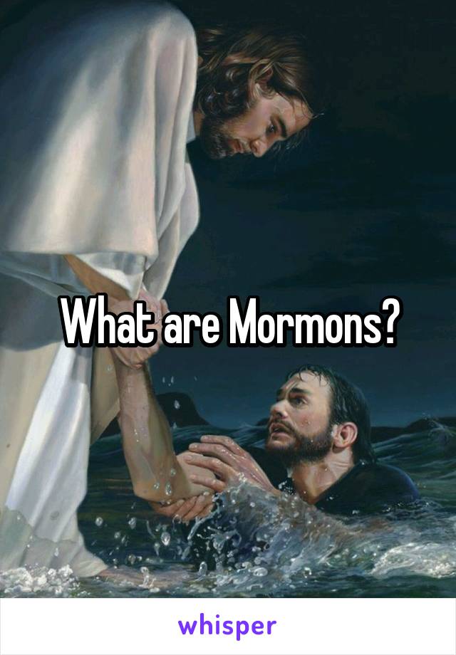 What are Mormons?