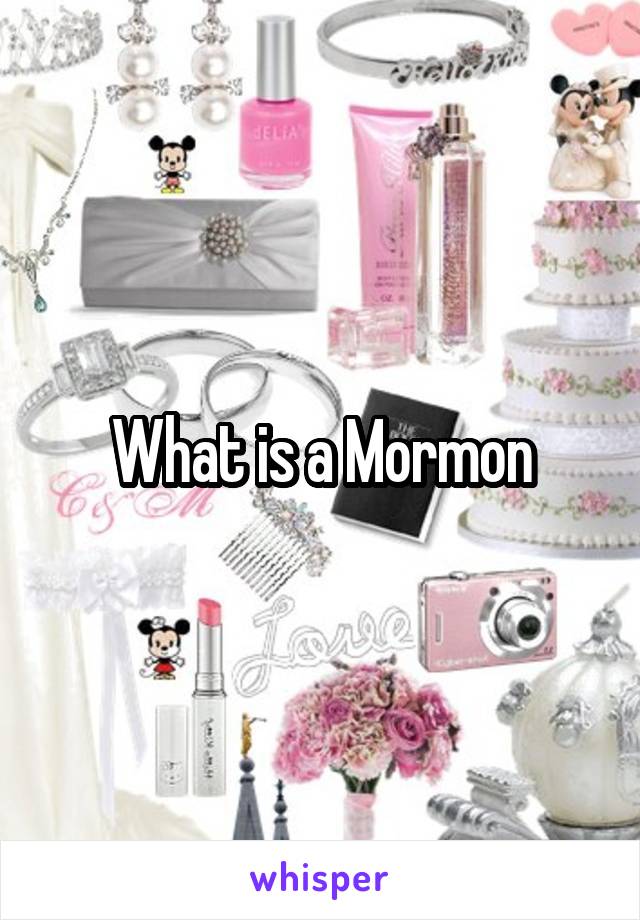 What is a Mormon