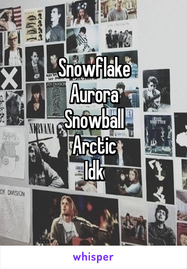 Snowflake
Aurora
Snowball
Arctic
Idk
