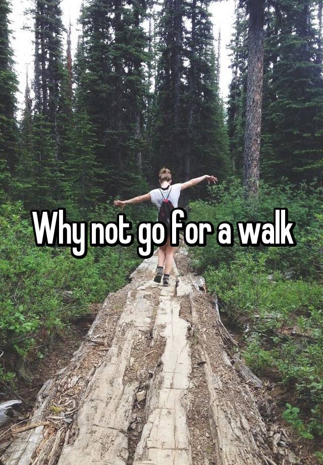 why-not-go-for-a-walk