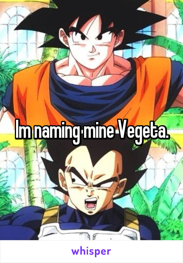 Im naming mine Vegeta.