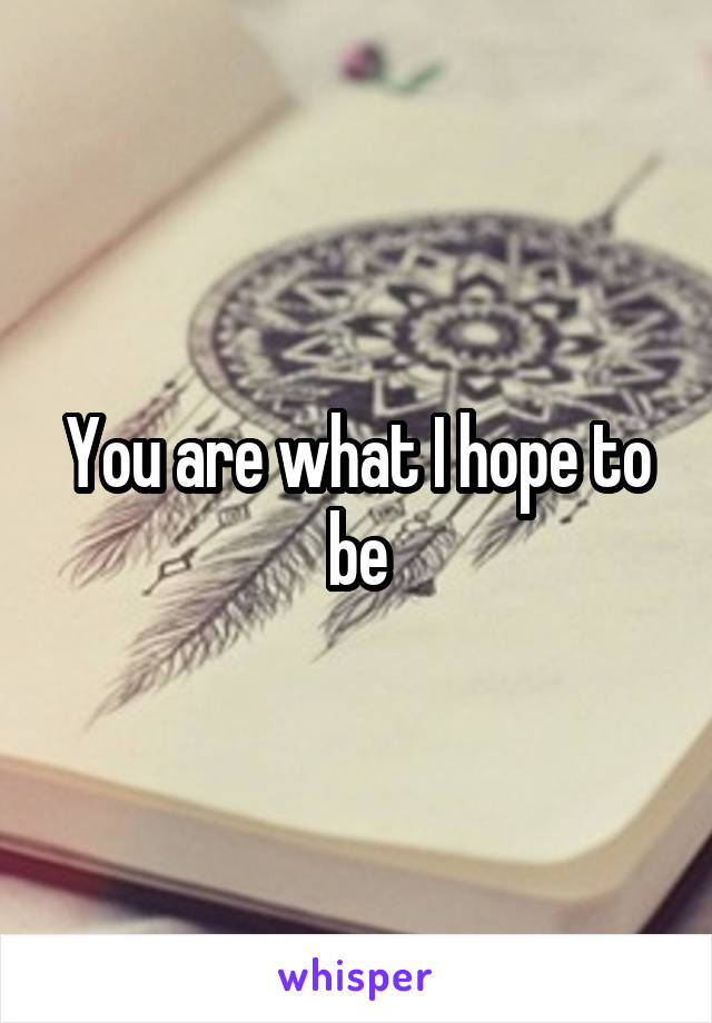 You are what I hope to be