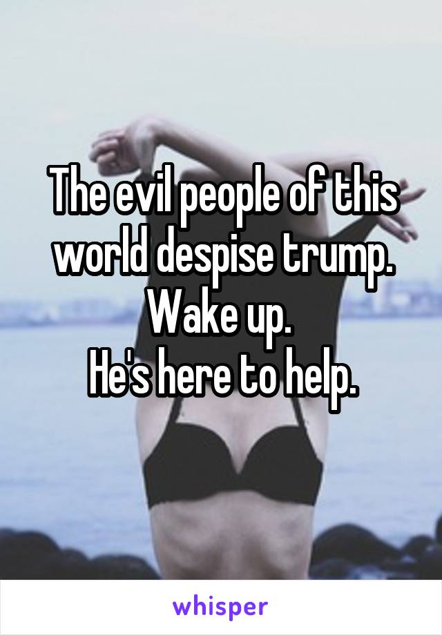 The evil people of this world despise trump. Wake up. 
He's here to help.
