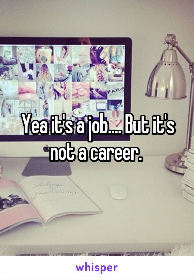 Yea it's a job.... But it's not a career. 